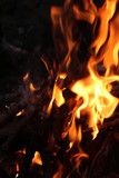 Fototapeta Storczyk - Fire And Flame