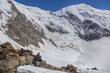 Mont Blanc mountain ridge