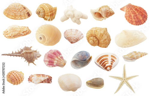 Cuadros en Lienzo Different seashells, coral and starfish isolated on white background