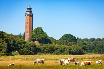 Wall Mural - Neuland lighthouse at Behrensdorf, Germany