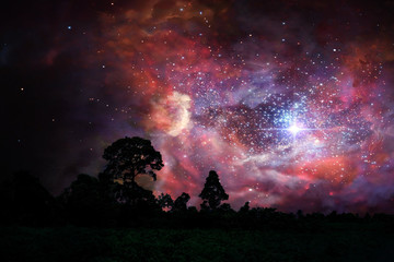 Wall Mural - blur ancient stardust nebula back on night cloud sky over silhouette forest