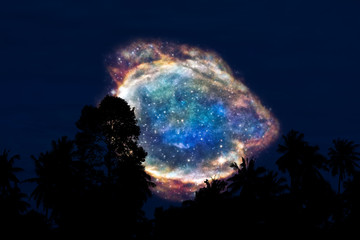Wall Mural - blur nebula back on night cloud sunset sky silhouette tree