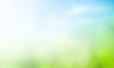 Wall Mural - sunlight, seasons, summer, early, sun, garden, calm, season, grass, new, development, sunshine, ener