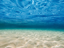 Underwater Background With Ocean Water. At The Bottom Of The Sea.