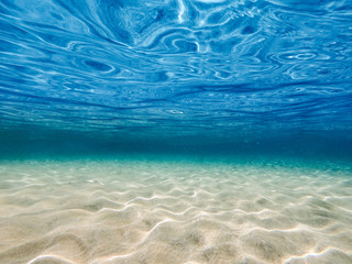 Underwater background with ocean water. At the bottom of the sea.