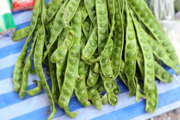 Canvas Print - Bitter bean at the market