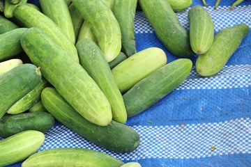 Canvas Print - Fresh cucumber at street food