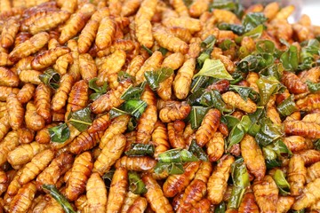 Canvas Print - Fried insect at street food