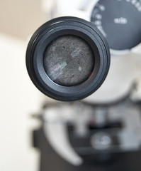 View in the microscope on fungi candida albicans. Selective focus on the eyepiece.