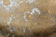 © Aliaksei - texture of old rumpled shabby metal, close-up abstract background