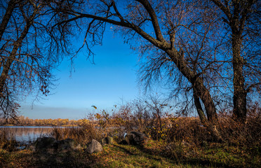 Wall Mural - Beautiful autumn landscape. Trees reflected in the water of the lake