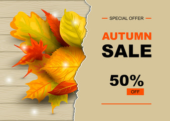 Wall Mural - Autumn sale banner with falling leaves on wood background with paper sheet. Place for text. Template for fall festival, poster, web, invitation, flyer, thanksgiving. Vector illustration.