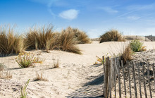 Scenic Old Wooden Fence And Dry Beach Grass In Beautiful Sandy Dunes In France