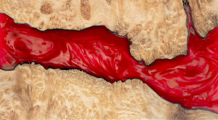 Wall Mural - Casting epoxy resin Stabilizing Leza burl wood