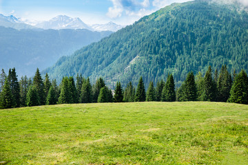 Pasture Grass Field In Austrian Alps