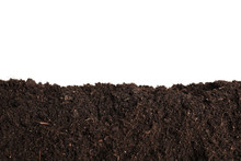 Layer Of Fresh Soil Isolated On White. Gardening Time