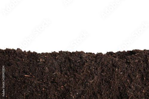 Fotomural Layer of fresh soil isolated on white. Gardening time