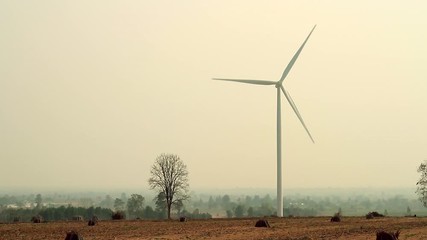 Wall Mural - Wind turbine generate electric power at agriculture field