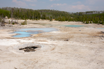 norris geyser back basin in in Yellowstone National Park in Wyoming