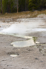 Poster - norris geyser back basin in in Yellowstone National Park in Wyoming