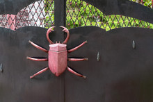 Black Metal Gate With A Large Decorative Beetle. Space For Lettering Or Design