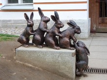Hares On The Hare Island Of St. Petersburg