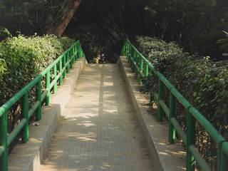  wooden bridge in the garden