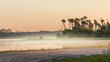 Florida nature marsh and swamp at sunrise with fog, Orlando Wetlands.