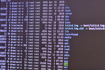 remote access to network servers. program terminal view.