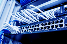Network Switch And Ethernet Cables In Red And White Colors. Data Center