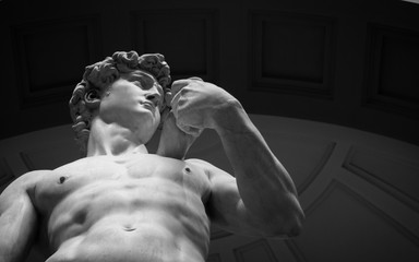 the david