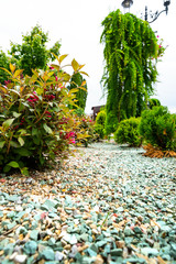 Wall Mural - gravel and stones in the decoration of flower beds in landscape design