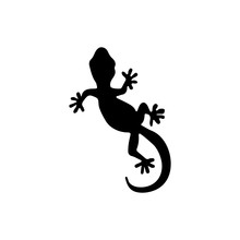 Lizard Vector, Design, Animal, And Reptile, Gecko