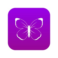 Wall Mural - Butterfly icon digital purple for any design isolated on white vector illustration