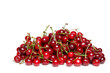 A handful of ripe, red cherries