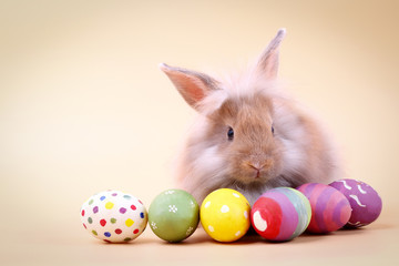 Wall Mural - Cute furry rabbit With many Easter eggs