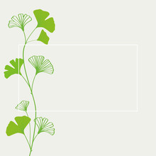 Green Ginkgo Leaves Frame Illustration