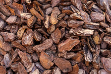 Background Pieces Of Bark Design Basis Natural Wooden Chips Dark Brown Pattern Base