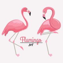 Set Of Two Pink Flamingos