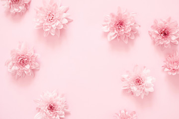 Wall Mural - Beautiful flowers composition. Pink flowers on pastel pink background. Valentines Day, Easter, Happy Women's Day, Mother's day. Flat lay, top view, copy space