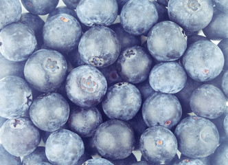 macro fresh blueberry fruit background