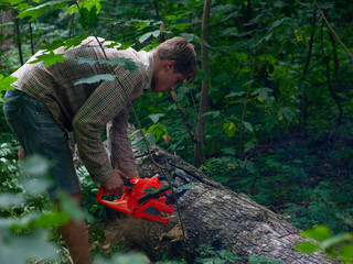 Wall Mural - young forester guy works as a laborer in the forest, cuts off old trees with a chainsaw, cutting stumps