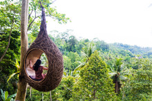 A Female Tourist Is Sitting On A Large Bird Nest On A Tree At Bali Island