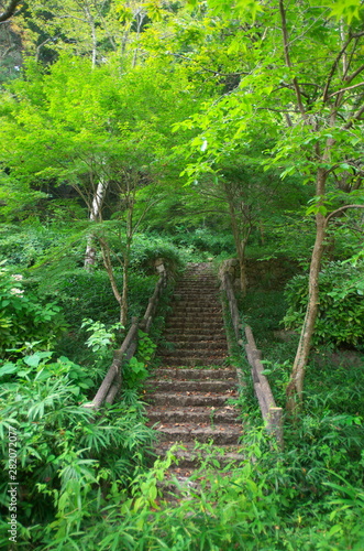 森の中に石の階段があります There Are Stone Stairs In The Forest Buy This Stock Photo And Explore Similar Images At Adobe Stock Adobe Stock