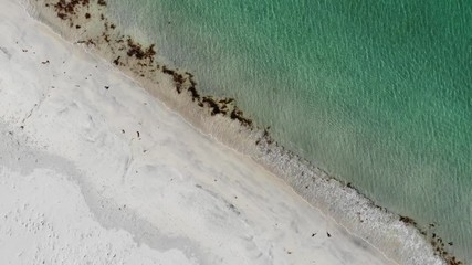 Poster - Aerial view camera rotating. Clear blue turquoise water with white sand. Sea shore. Norwegian nature. Lofoten islands