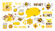 Set of bee, honey, lettering and other beekeeping illustration. Vector EPS10.