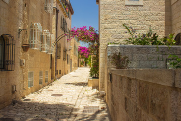 colorful Israeli Jerusalem old city cozy street narrow alley with paved road stone buildings and bright plants 