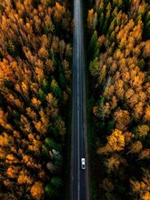 Aerial View Of Road In Beautiful Autumn Forest In Rural Finland.
