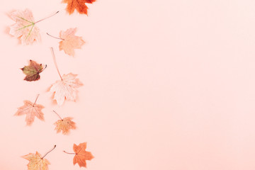 Wall Mural - Autumn creative composition. Beautiful dried leaves on pastel pink background. Fall concept. Autumn background. Flat lay, top view, copy space