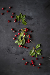 Wall Mural - branch of raw cherry berries with green leaves flat lay.